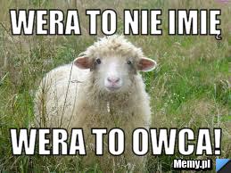 Wera to nie imię Wera to OWCA!