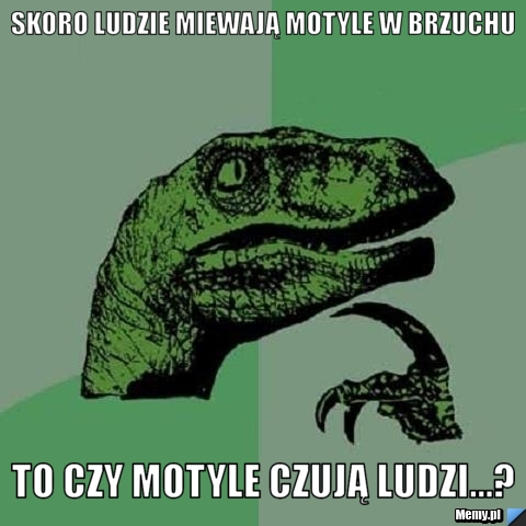 Skoro ludzie miewają motyle w brzuchu To czy motyle czują ludzi...?