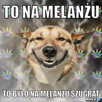 To na melanżu   to było na melanżu szugrat