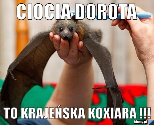 CIOCIA DOROTA TO KRAJEŃSKA KOXIARA !!!