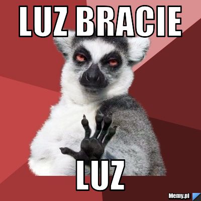 LUZ BRACIE LUZ