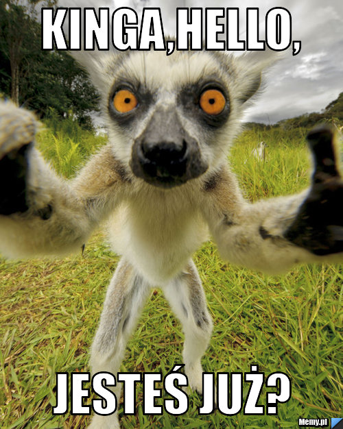 Kinga,hello, Jesteś już?