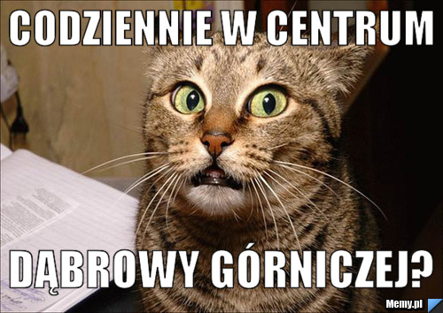 Codziennie w centrum Dąbrowy G&oacute;rniczej?