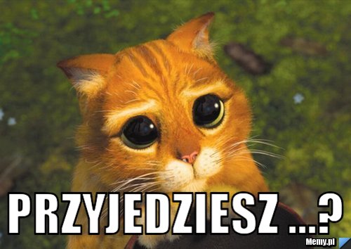  przyjedziesz ...?