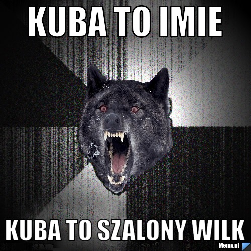 Kuba to imie  kuba to szalony wilk