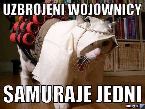 Uzbrojeni wojownicy samuraje jedni