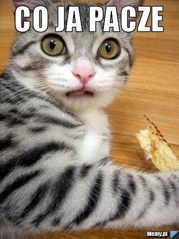 Co ja pacze 