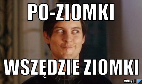 Po-ZIOMKI WSZĘDZIE ZIOMKI 