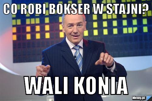 CO ROBI BOKSER W STAJNI?  Wali Konia  