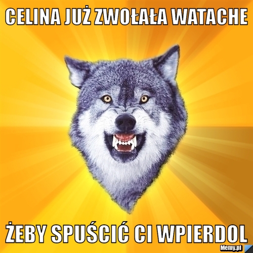 Celina już zwołała watache żeby spuścić ci wpierdol