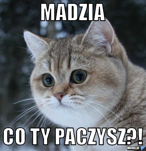 Madzia Co ty PACZYSZ?!