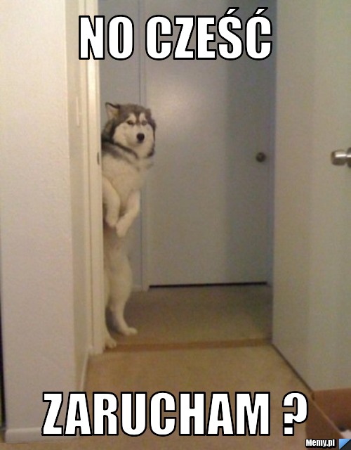 No cześć zarucham ?