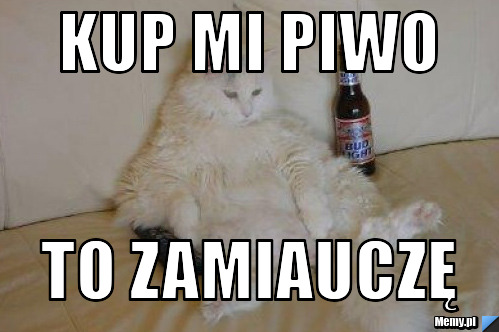KUP MI PIWO TO ZAMIAUCZĘ