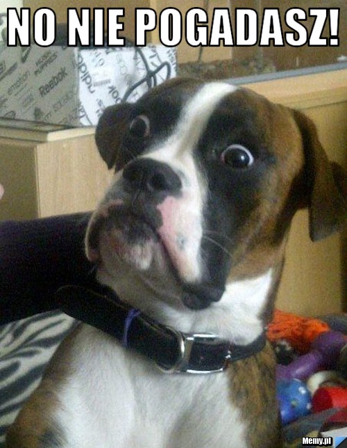 74ba651592_no_nie_pogadasz.jpg