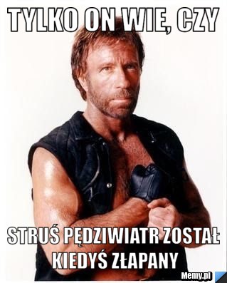 Tylko on wie, czy struś pędziwiatr został kiedyś złapany