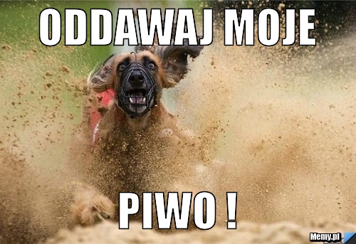 Oddawaj moje piwo !