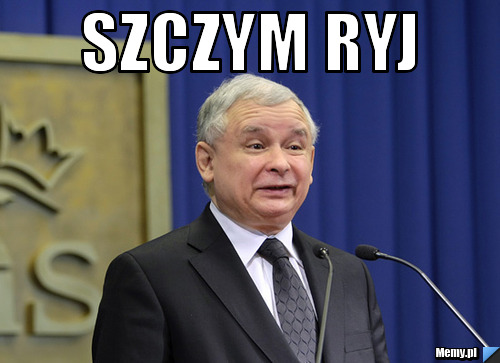 Szczym ryj 