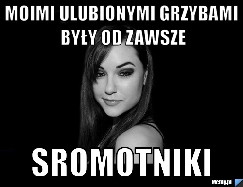 Moimi ulubionymi grzybami były od zawsze sromotniki
