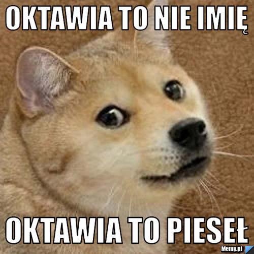 Oktawia to nie imię Oktawia to pieseł