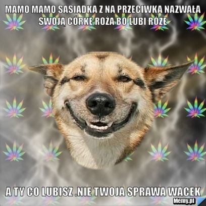 Mamo mamo sasiadka z na przeciwka nazwała swoją córke roża bo lubi róże  a ty co lubisz .nie twoja sprawa wacek