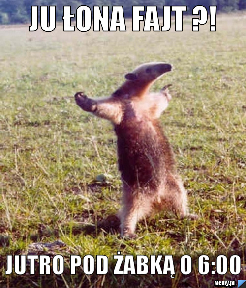 JU ŁONA FAJT ?!  JUTRO POD ŻABKĄ O 6:00