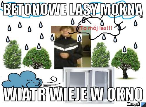 Betonowe lasy mokną Wiatr wieje w okno