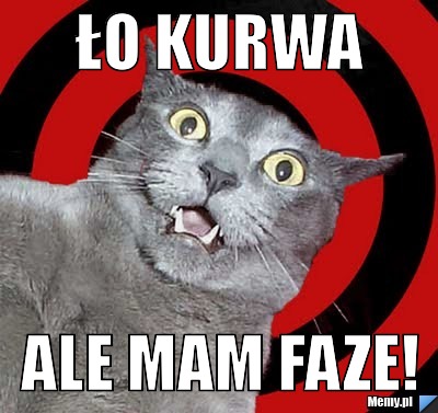 Ło kurwa ale mam faze!