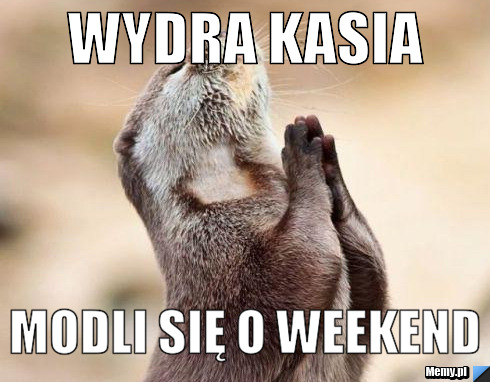 Wydra Kasia modli się o weekend