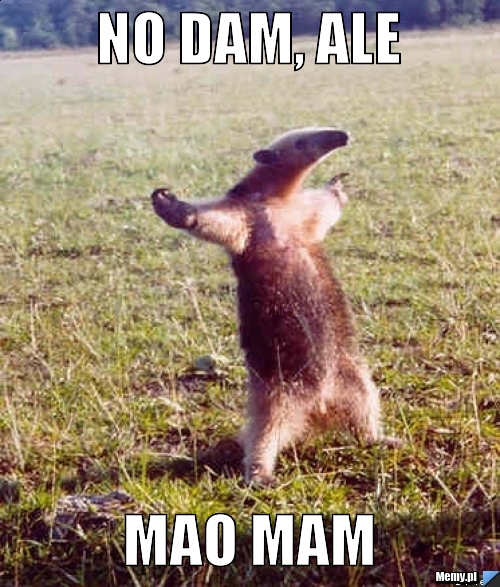 No dam, ale mao mam