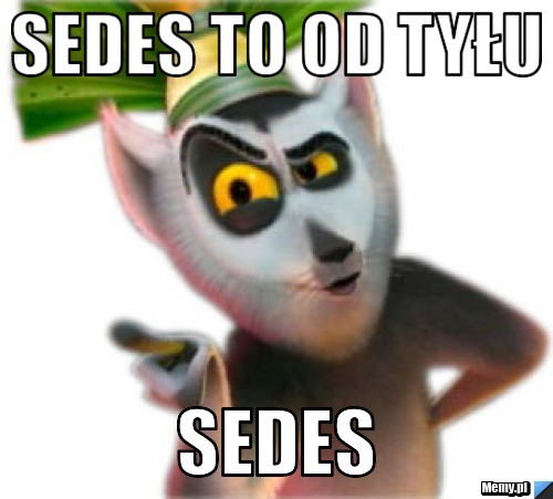 SEDES TO OD TYŁU  SEDES