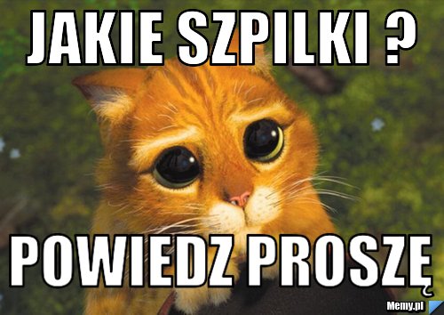Jakie szpilki ? powiedz proszę 