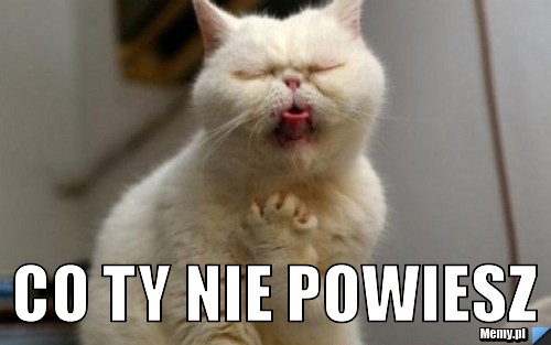  co ty nie powiesz