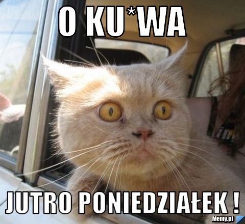 O ku*wa Jutro poniedziałek !