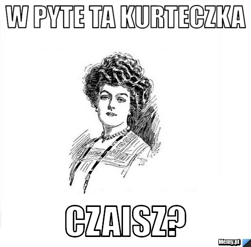 W pyte ta kurteczka CZAISZ?