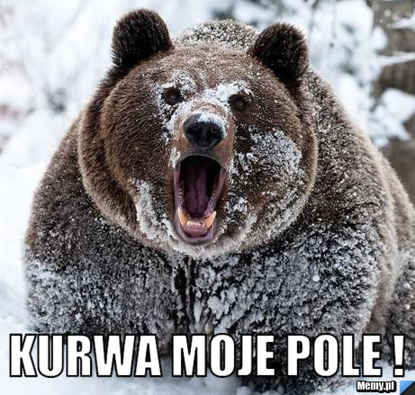  kurwa moje pole !