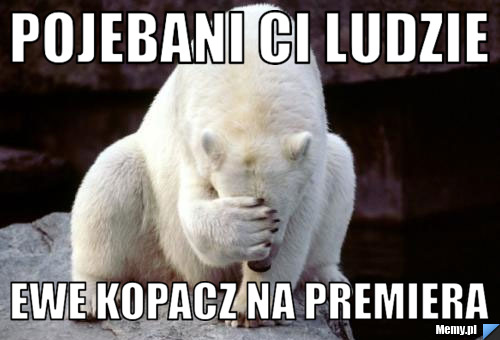 Pojebani ci ludzie   ewe kopacz na premiera 