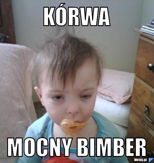 Kórwa Mocny Bimber