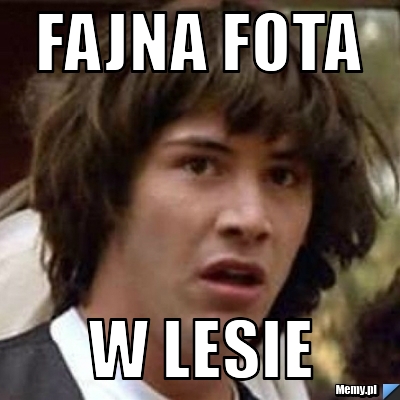 Fajna fota w lesie