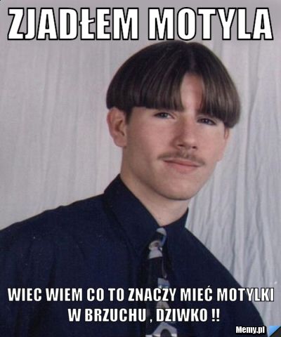 Zjadłem motyla Wiec wiem co to znaczy mieć motylki  w brzuchu , dziwko !!