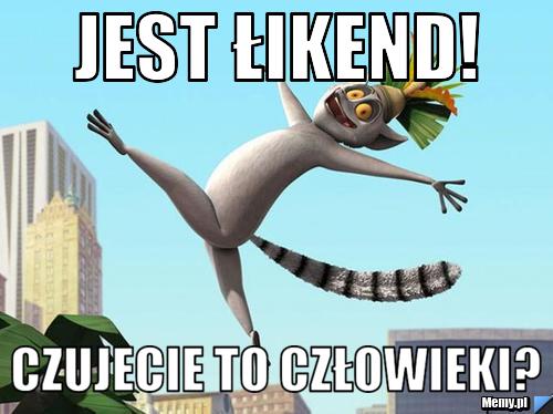 Jest łikend! Czujecie to człowieki? - Memy.pl