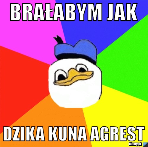 Brałabym jak dzika kuna agrest