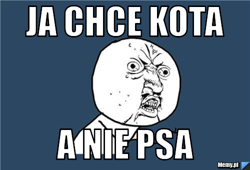 Ja chce kota a nie psa