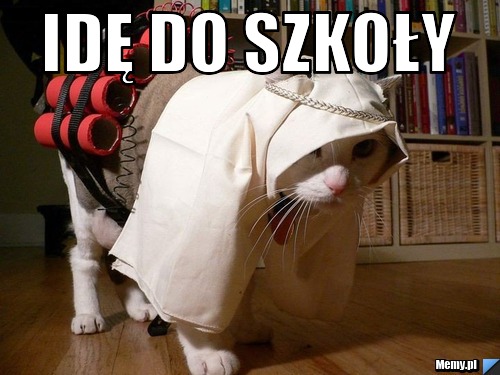 Idę do szkoły 