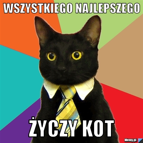 WSZYSTKIEGO NAJLEPSZEGO  ŻYCZY KOT