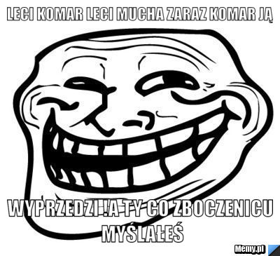 Leci komar leci mucha zaraz komar ją Wyprzedzi !A ty co zboczenicu myślałeś