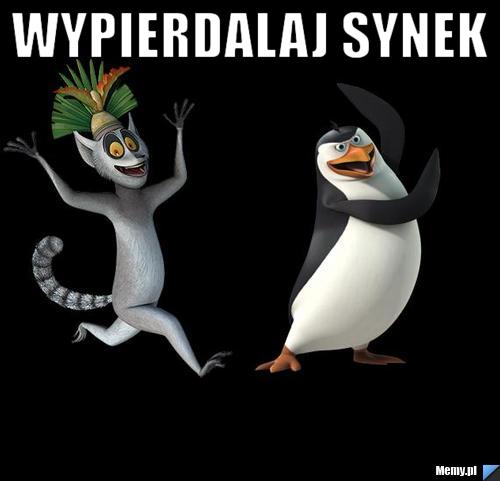 Wypierdalaj synek 