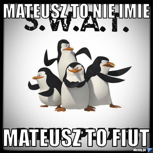 Mateusz to nie imie mateusz to fiut