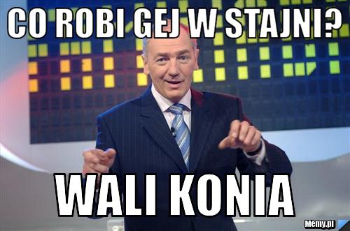 Co robi gej w stajni? Wali konia