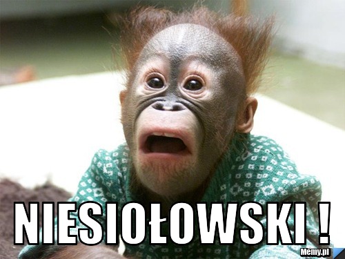  Niesiołowski ! 