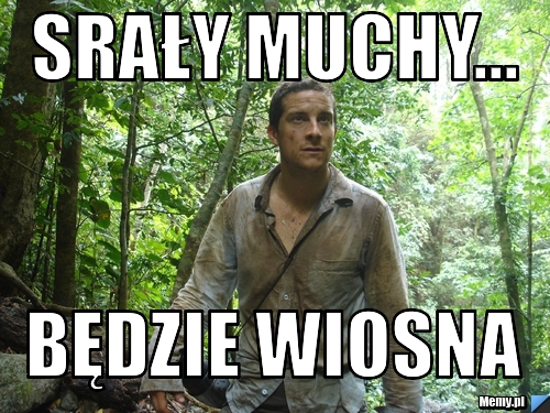 Srały muchy... Będzie wiosna